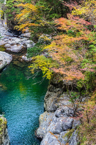 Obraz na płótnie 奈良県天川村の秋風景 w salonie