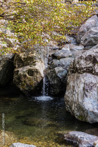 Obraz na płótnie 奈良県天川村の秋風景 w salonie