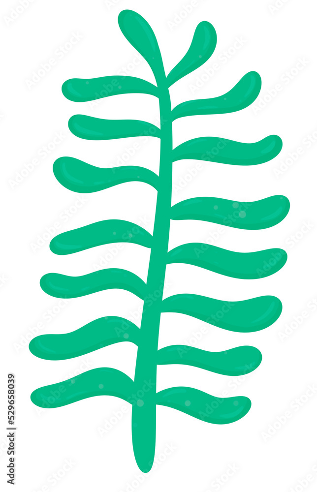 Seaweed, Marine Plant