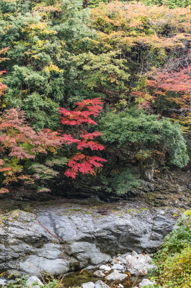 奈良県天川村の秋風景