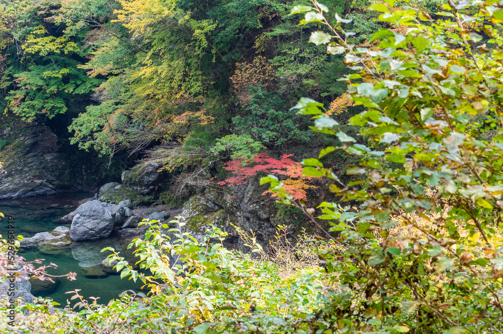 奈良県天川村の秋風景