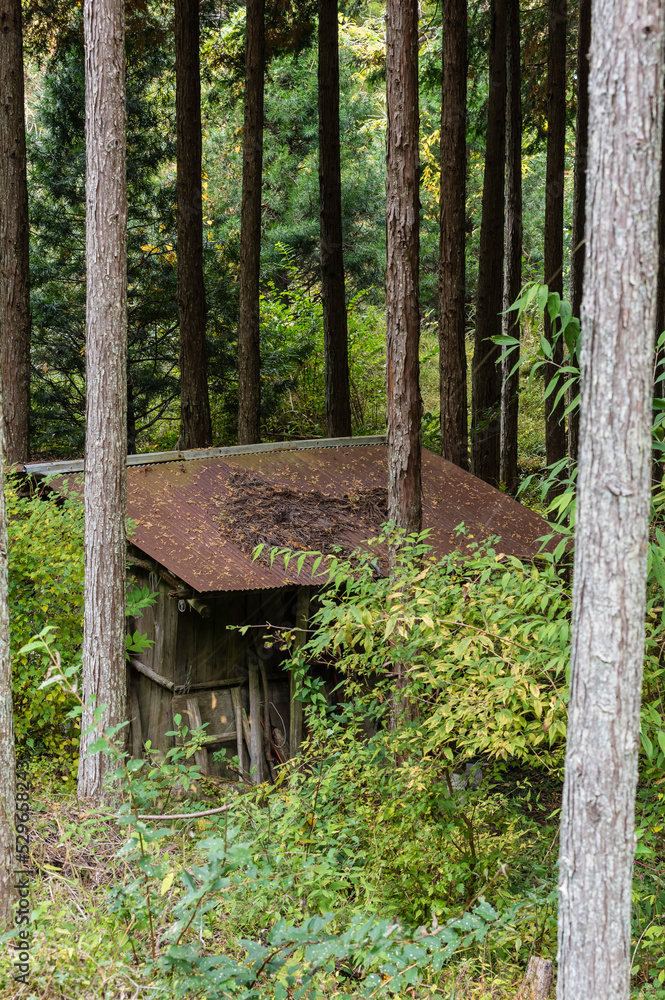 奈良県天川村の秋風景