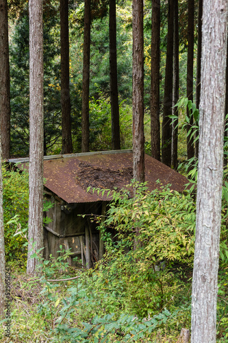 Obraz na płótnie 奈良県天川村の秋風景 w salonie