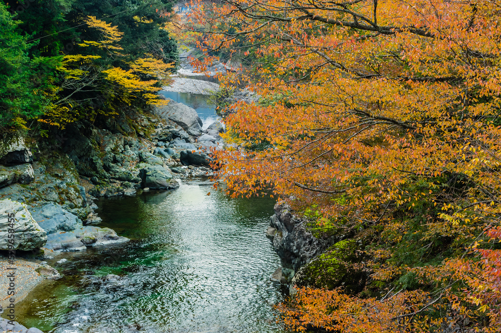 奈良県天川村の秋風景