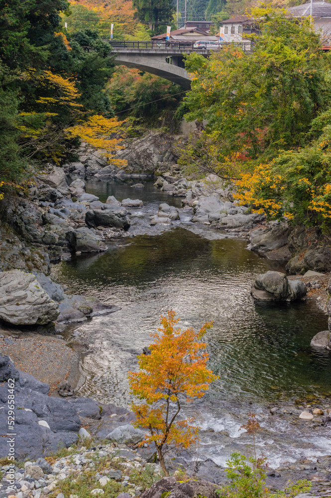 奈良県天川村の秋風景