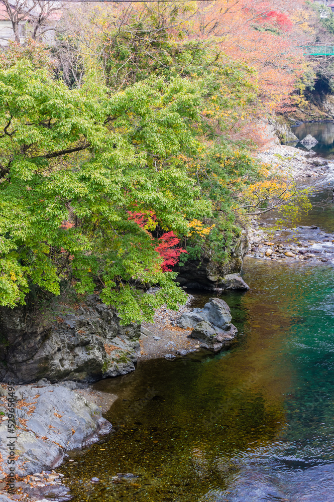 奈良県天川村の秋風景