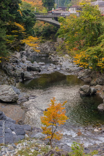 Obraz na płótnie 奈良県天川村の秋風景 w salonie