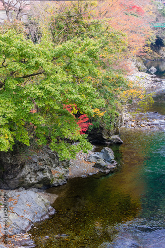 Obraz na płótnie 奈良県天川村の秋風景 w salonie