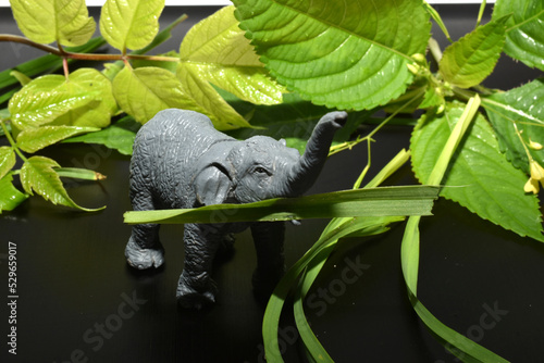 Gray elephant with a raised trunk.