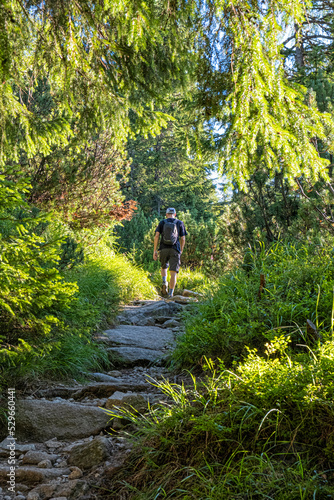 Hiker is walking on the footpath, High Tatras mountains, Slovakia