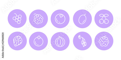Set of berries icons ouline style vector isolated on white. Berry icon	
