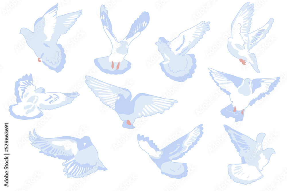 Flying doves set vector illustration isolated on white background. Birds in light blue and pink colors. Flat cartoon style Flying doves set vector illustration isolated on white background. Birds in light blue and pink colors. Flat cartoon style
