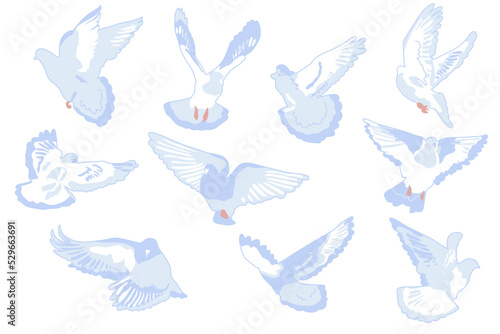 Flying doves set vector illustration isolated on white background. Birds in light blue and pink colors. Flat cartoon style 