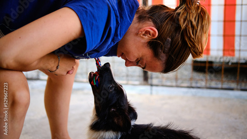 Foto scattata ad un cucciolo di border collie mentre gioca con una ragazza. photo