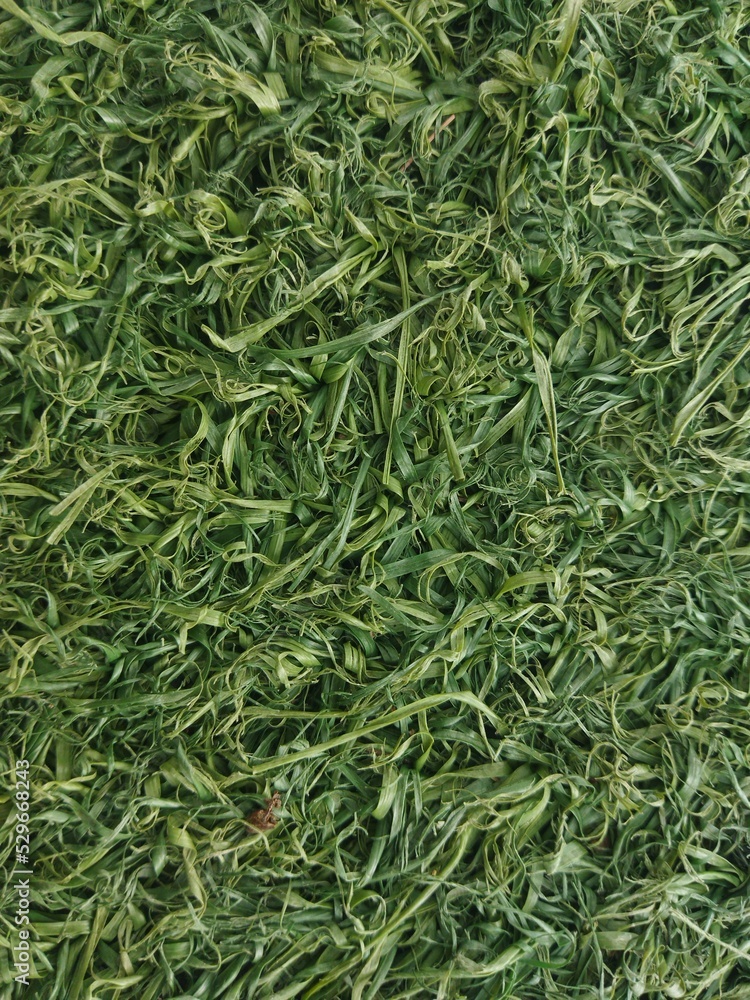 artificial grass background looks like an abstract masterpiece artificial grass background looks like an abstract masterpiece