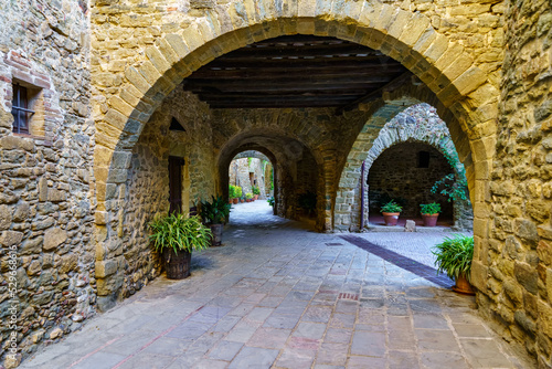 Fototapeta Naklejka Na Ścianę i Meble -  Picturesque alley with stone houses and arched passageway with green plants on the ground, Monells, Girona, Spain.