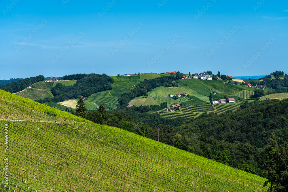 Beautiful panorama view of vineyard and farmland in south Styria near Gamlitz on a sunny summer day with blue sky cloud, Austria