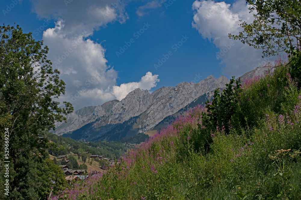 Fototapeta premium Panorama des Alpes, le massif des Aravis