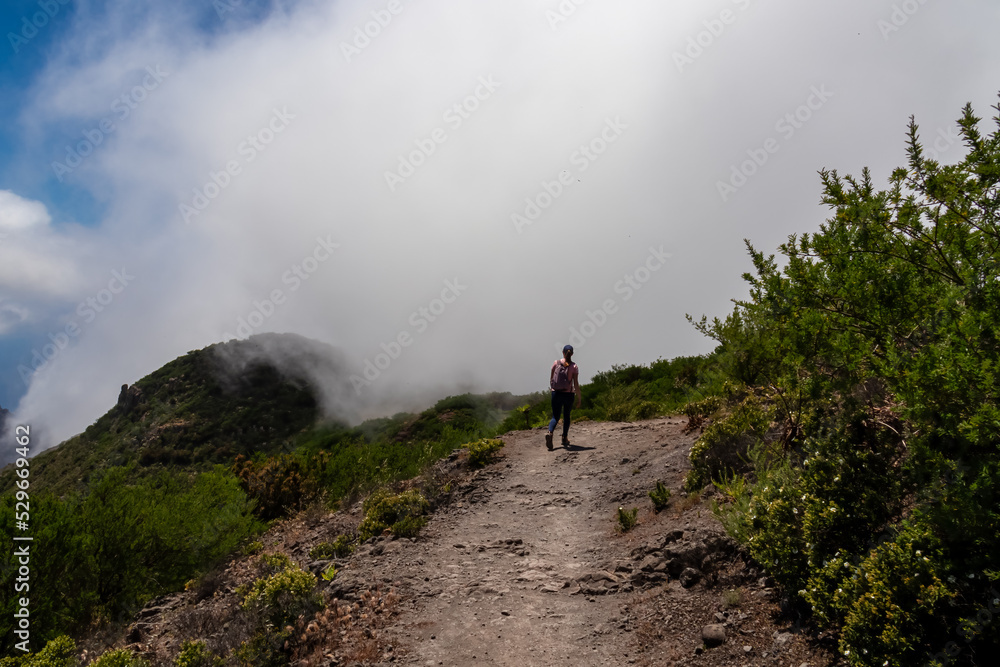 Woman with backpack descending Pico Verde with view on the Teno mountain massif, Tenerife, Canary Islands, Spain, Europe. Hiking trail between village Masca and Santiago. Entering the fog Woman with backpack descending Pico Verde with view on the Teno mountain massif, Tenerife, Canary Islands, Spain, Europe. Hiking trail between village Masca and Santiago. Entering the fog