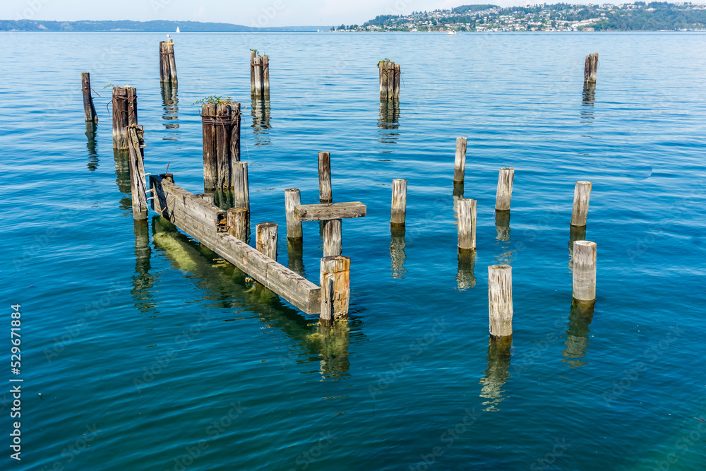 Fototapeta premium Waterfront Park Pilings 5