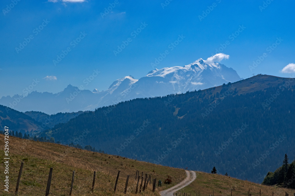 Panorama sur le massif du Mont-Blanc
