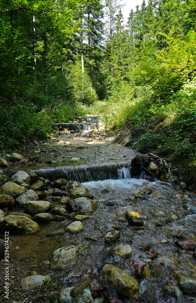Rehbachklamm bei Scheffau am Wilden Kaiser, Österreich Rehbachklamm bei Scheffau am Wilden Kaiser, Österreich