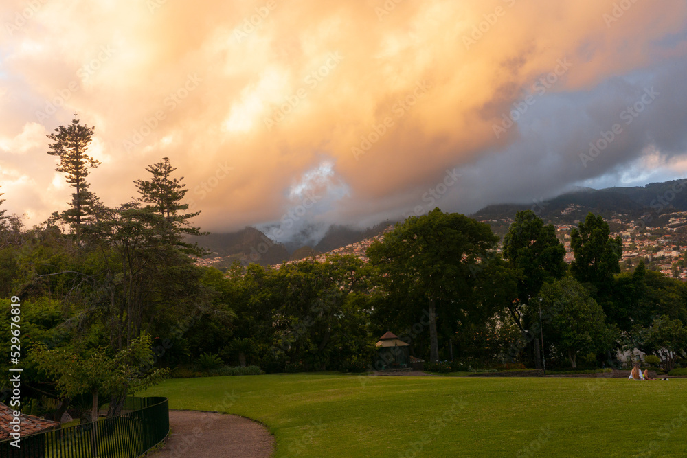 Naklejka premium Park and sunset