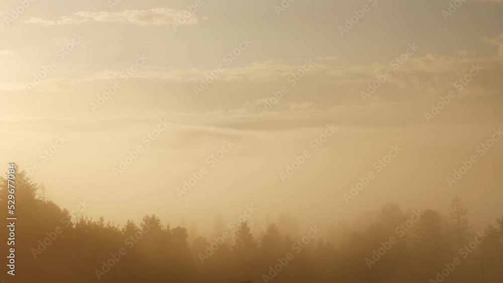 Misty morning in mountains, golden sunlight shining through trees and morning fog Misty morning in mountains, golden sunlight shining through trees and morning fog