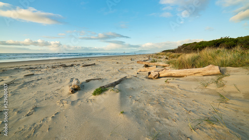 Landscape with sandy beach on the ocean on Oregon coast at sunset.