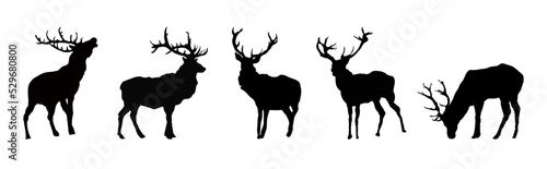 Set of   silhouette of  deers © KR Studio