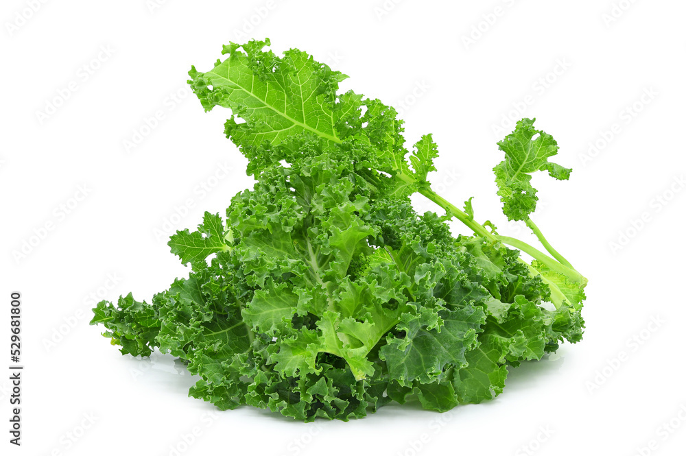 Fresh organic green kale leaves isolated on white background. Fresh organic green kale leaves isolated on white background.