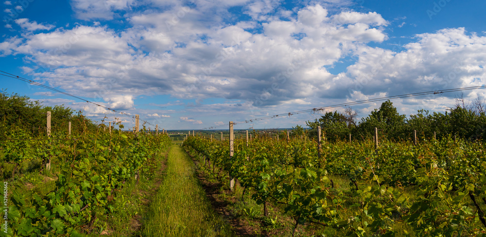 Obraz premium Sandomierz. Poland