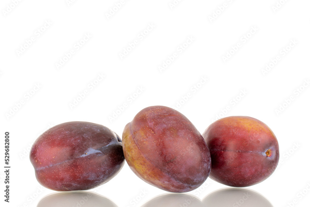Three ripe plums, macro, isolated on a white background. Three ripe plums, macro, isolated on a white background.