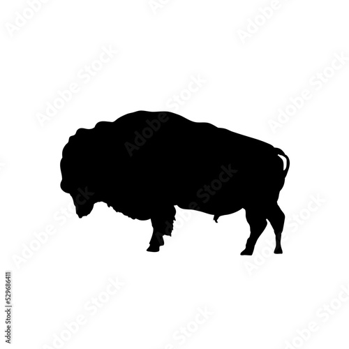 silhouette of a bison, side view - vector illustration