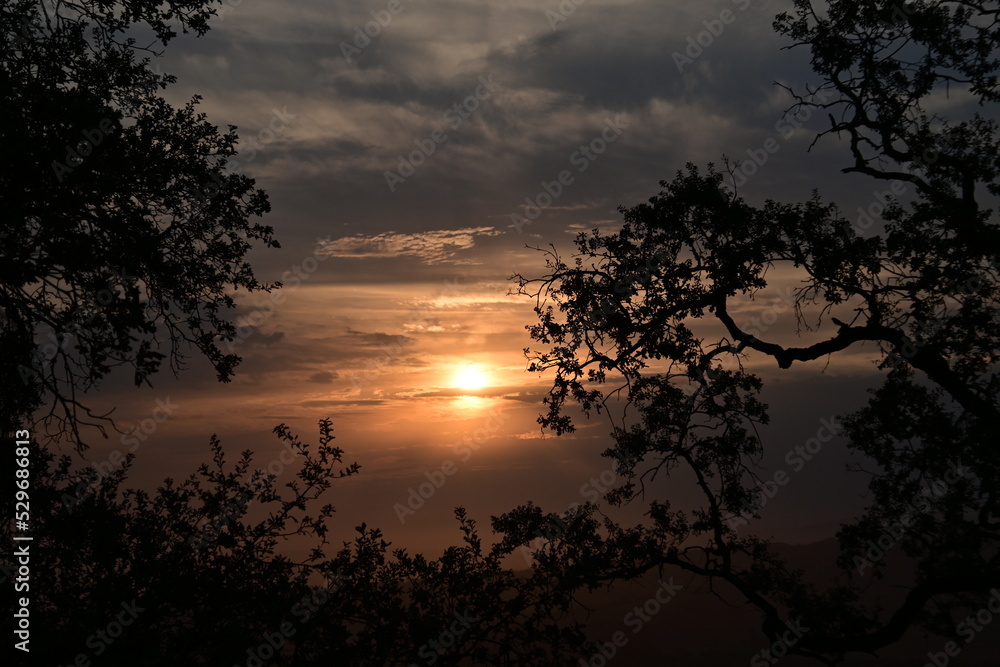 sunrise behind trees sunrise behind trees