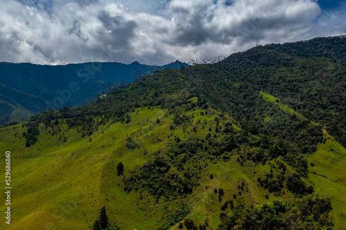 Cocora Valley in Colombia from above   Luftbilder vom Cocora Tal in Kolumbien © Roman