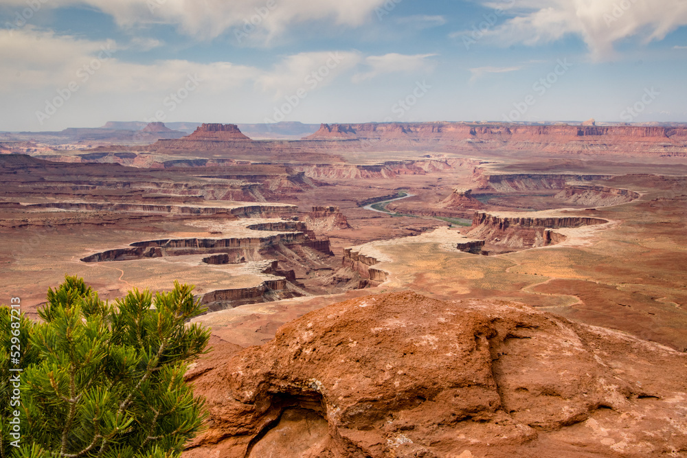 Fototapeta premium Canyonlands Vista