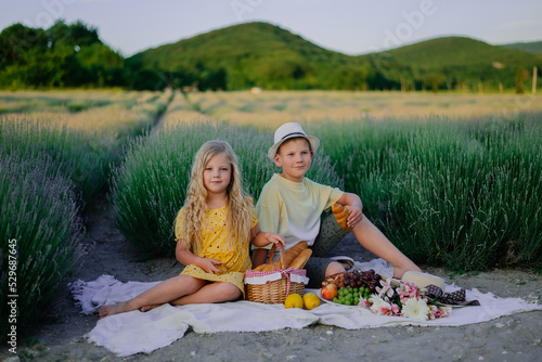portrait of children in the summer against the background of a field with lavender at a picnic
