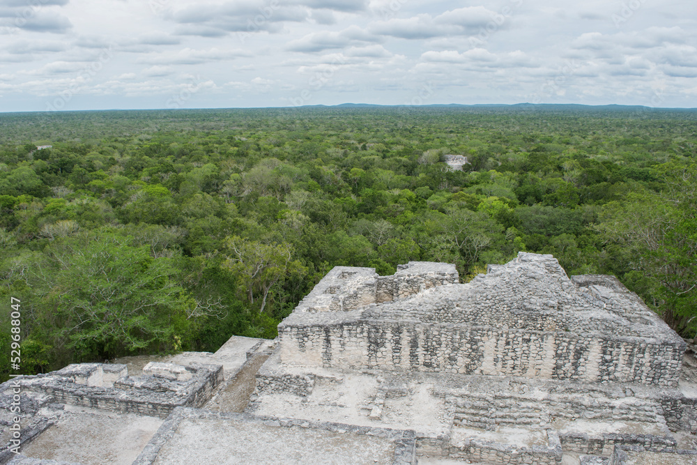 View of the Calakmul Biosphere Reserve Rainforest from the Ancient Mayan Ruin of Calakmul.