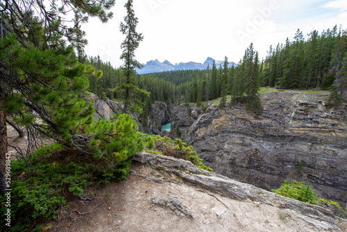 Kootenay Plains Ecological Reserve, AB