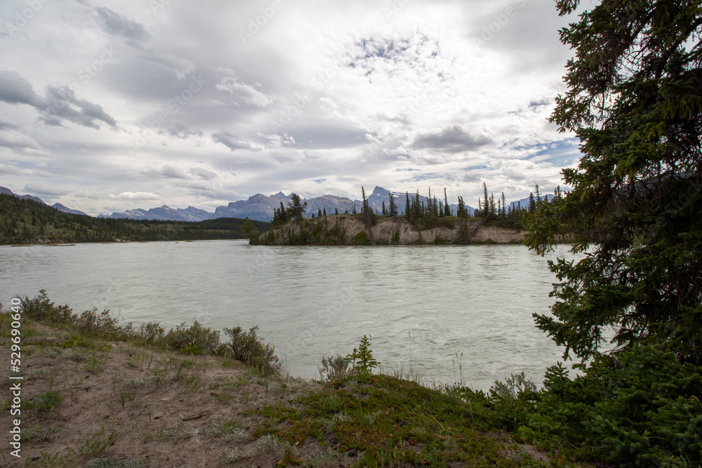 Fototapeta premium Kootenay Plains Ecological Reserve, AB