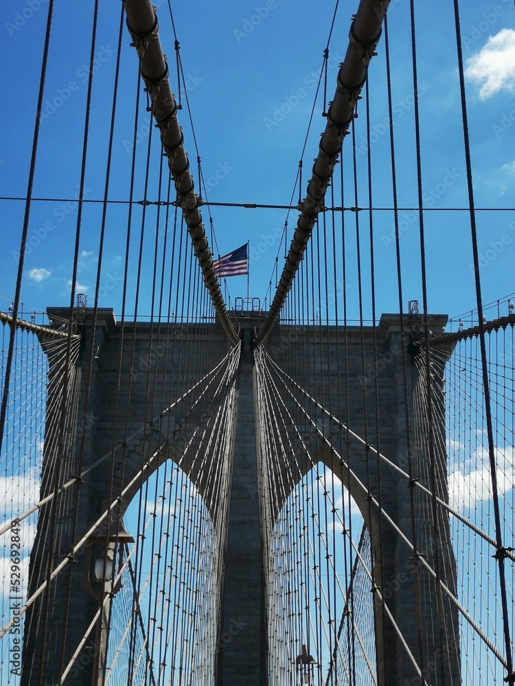 Fototapeta premium city bridge city