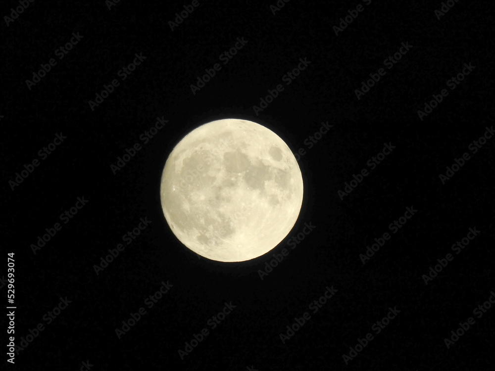 Fototapeta premium full moon in the night sky