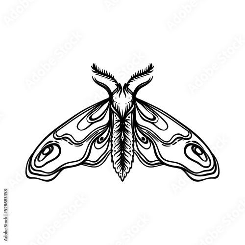 Black and white decorative vector illustration of moth isolated on white. Tattoo design. Coloring book for adults. Nature, spirituality, occultism, alchemy, magic concept.