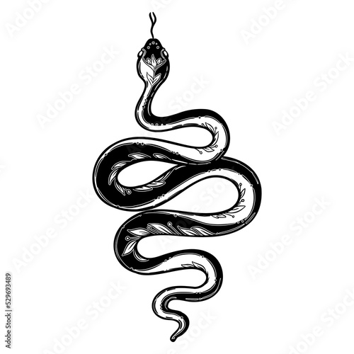 Vector outline snake. Magic symbol. Serpent art in trendy style. Wicca moon goddess symbol. Vector illustration. Tattoo, astrology, alchemy, boho and magic symbol. Coloring book.