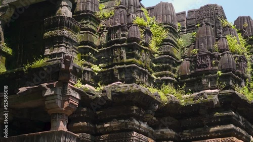 Close up shot of green moss on carving stones on the wall of ancient Hindu temple. Old Sharaneshwar Shiva Temple at Polo Forest, Gujarat, India. Ancient historical Indian architecture photo