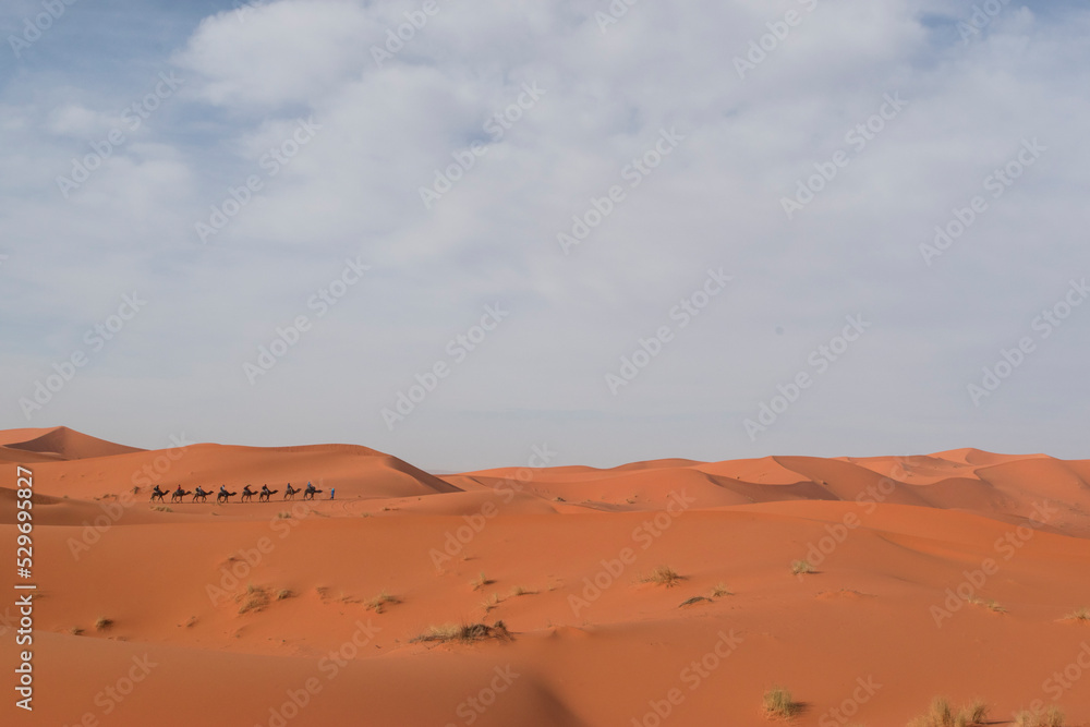 Camel Caravan in Erg Chebbi, Sahara Desert, Morocco.