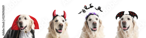 Set of cute labrador dogs with Halloween decor on white background