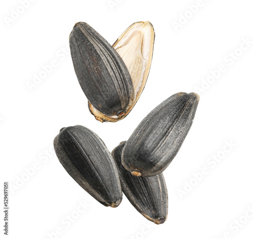 Flying sunflower seeds isolated on white