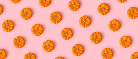 Many ripe pumpkins on pink background. Pattern for design